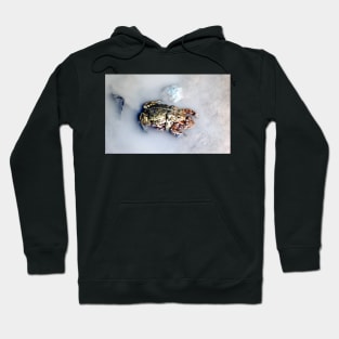 One Frog or Two .. Hoodie